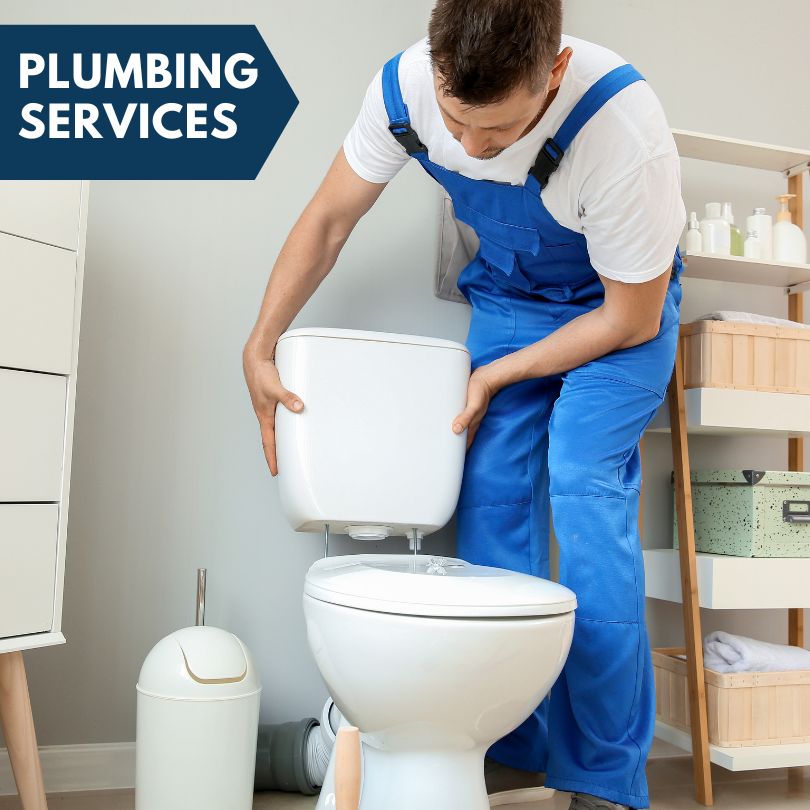 Plumbing Company in Walnut Hill, IL